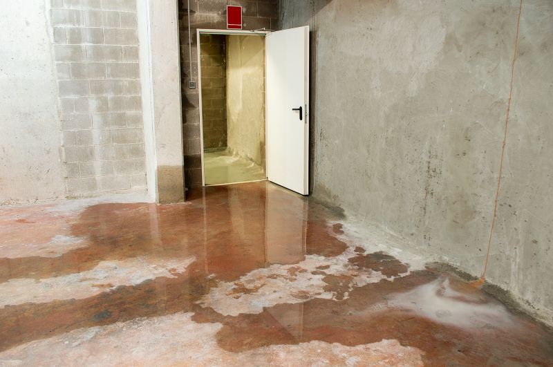 Basement Seepage Repair in Fredericksburg, VA